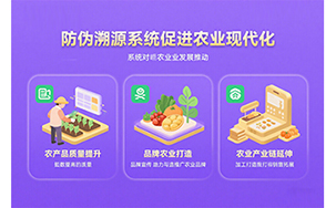 溯源系统