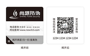 双层防伪标志